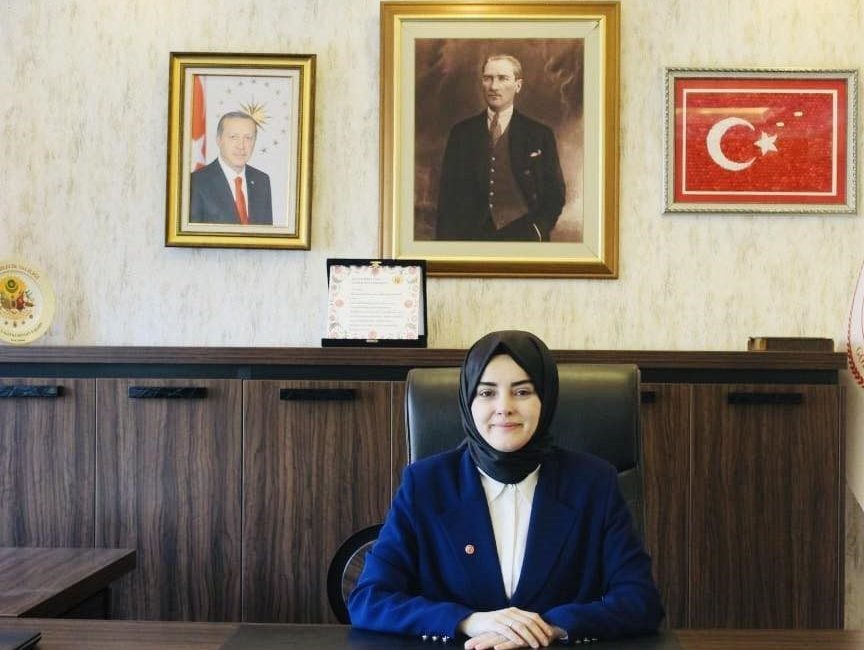 Yangın sonrası hasar tespiti yapıldı Bilecik’in Gölpazarı ilçesine bağlı köylerde meydana gelen yangınlar sonrası zarar