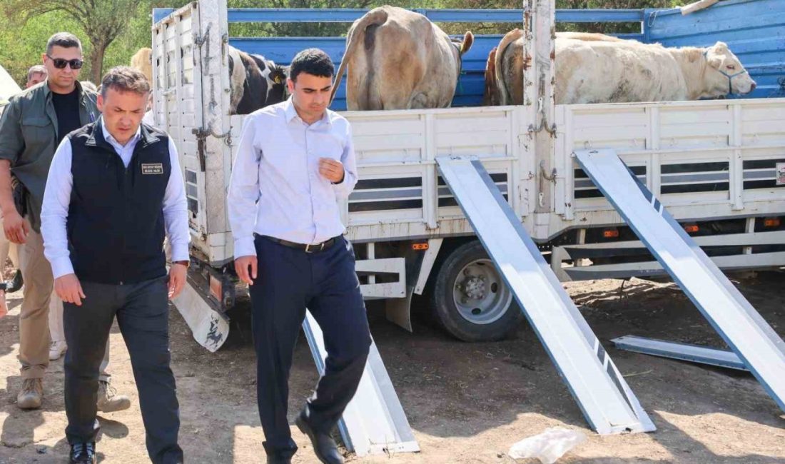 Yangın sonrası üreticilere büyükbaş ve küçükbaş hayvan desteği sağlandı Bilecik’in Gölpazarı ilçesin’de geçtiğimiz günlerde meydana gelen yangınların ardından devletin