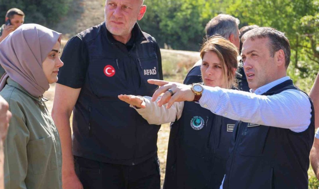 Bilecik’in Gölpazarı ve Osmaneli ilçelerinde meydana gelen orman yangınlarının ardından,