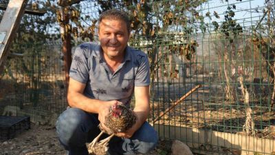 Bilecik’te 5 gün önce başlayan orman yangınında 3 bağ evi