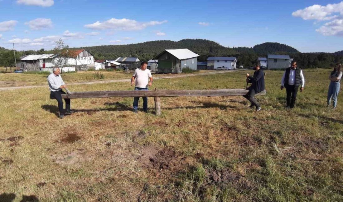 Bolu’nun Mudurnu ilçesine bağlı Yazılar Köyü yaylasında, unutulmaya yüz tutmuş