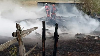 Sakarya’nın Akyazı ilçesinde bulunan Turnalık Yaylası’nda çıkan yangında 2 ev
