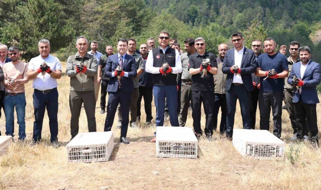DÜZCE(İHA) – Düzce’nin Yığılca ilçesi sınırlarında 500 kınalı keklik bırakıldı.