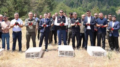 DÜZCE(İHA) – Düzce’nin Yığılca ilçesi sınırlarında 500 kınalı keklik bırakıldı.