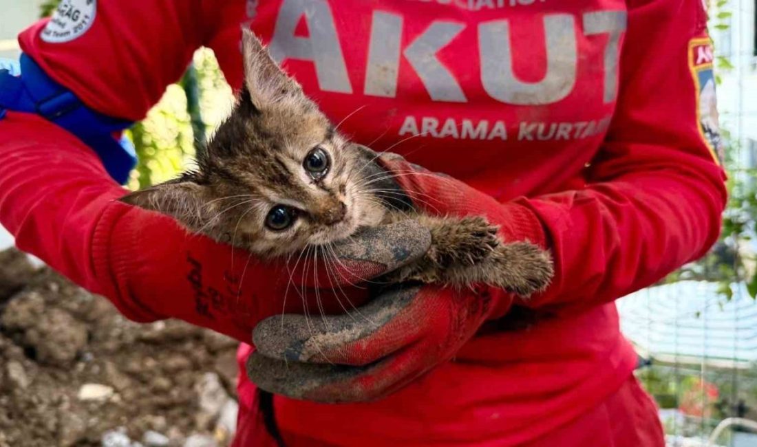 Kocaeli’nin Başiskele ilçesinde 7 gün boyunca drenaj borusunda mahsur kalan