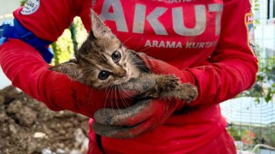 Kocaeli’nin Başiskele ilçesinde 7 gün boyunca drenaj borusunda mahsur kalan