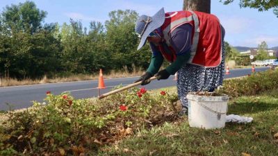 Düzce’de kent genelinde düzenli olarak yeşil alanlarda bakım, budama ile