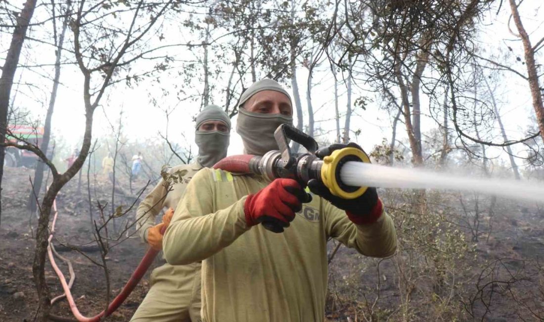 Sakarya’nın Geyve ilçesinde ormanlık alanda başlayıp Bilecik’e sıçrayan orman yangınını