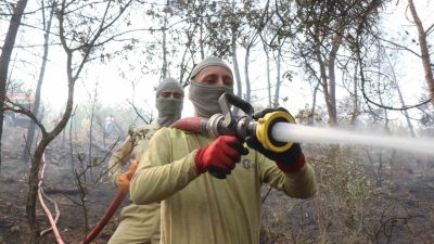 Sakarya’nın Geyve ilçesinde ormanlık alanda başlayıp Bilecik’e sıçrayan orman yangınını