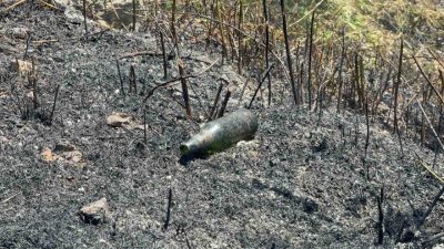 Düzce’de yol kenarına atılan cam şişeler anız yangını çıkarttı. Yangında