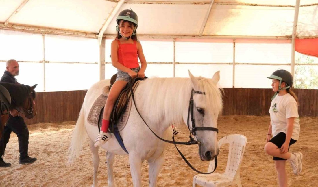 22 bin 686 çocuğa ücretsiz binicilik eğitimi Kocaeli Büyükşehir Belediyesi 4-6 yaş arası çocuklara yönelik ücretiz at