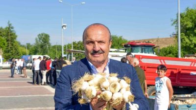 Taşköprü Belediyesi tarafından bu yıl 35’incisi düzenlenecek olan Uluslararası Kültür