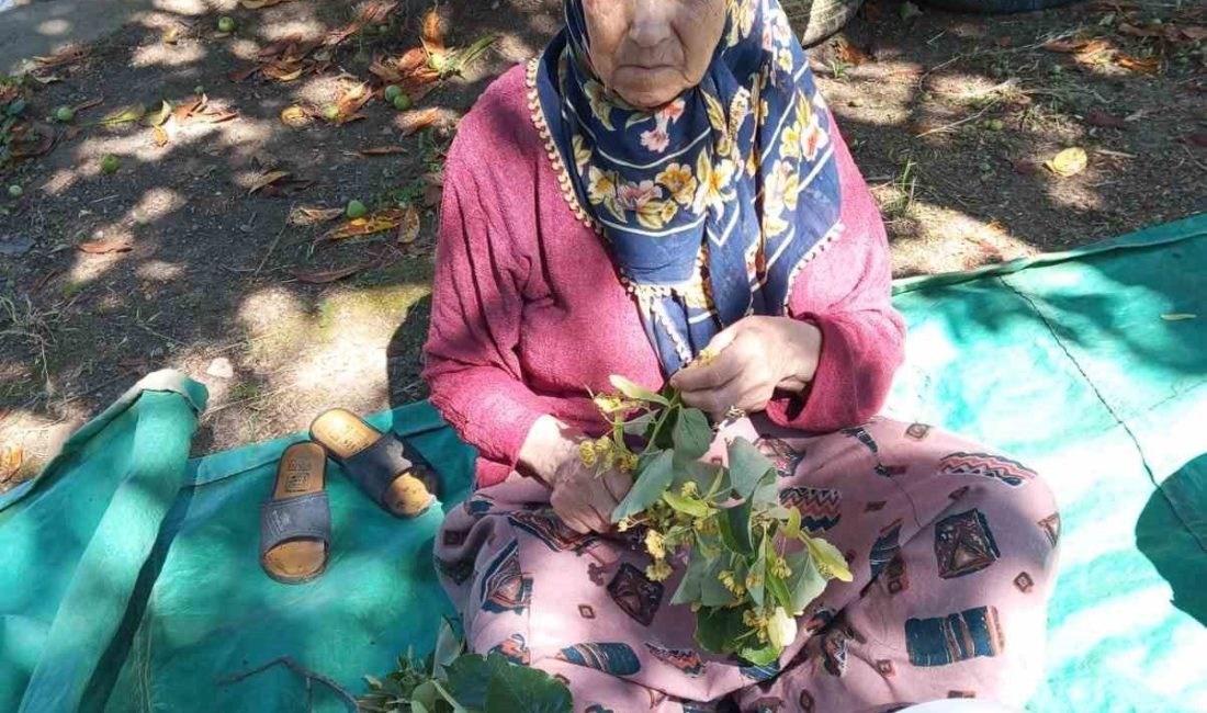 81 yaşındaki kadın her yerde aranıyor Düzce’de dün akşam saatlerinde evden ayrılan ve kendisinden bir daha
