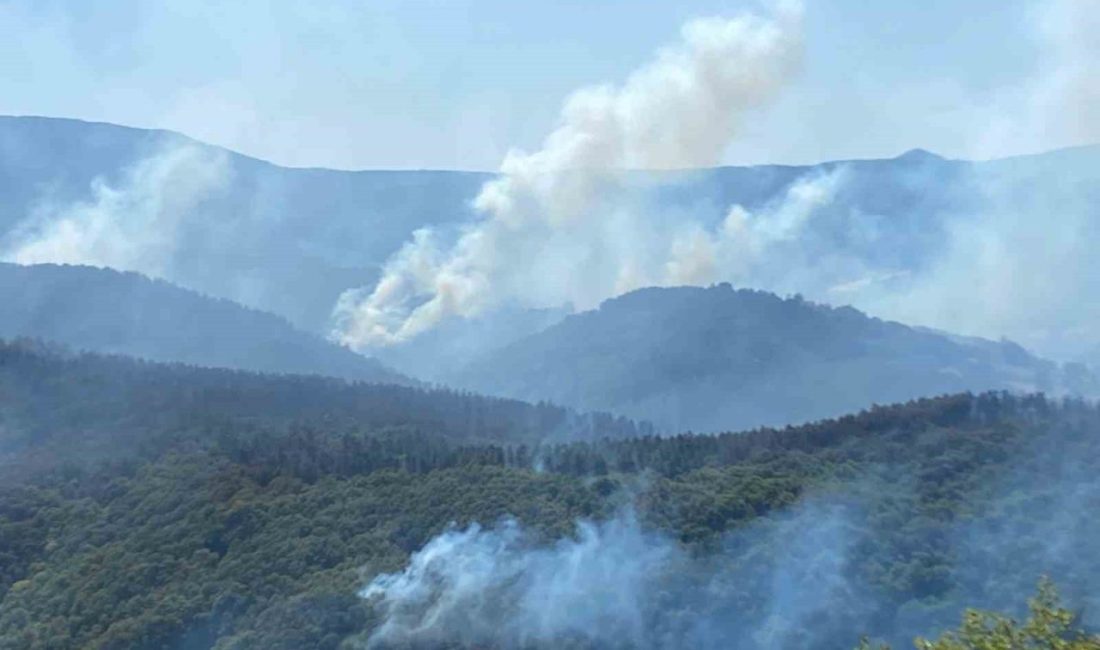 963 personel, 16 hava aracı ile Karamürsel’deki yangına büyük seferberlik Kocaeli’nin Karamürsel ilçesinde çıkan orman yangınına müdahale devam ediyor. 963