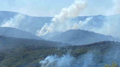 Kocaeli’nin Karamürsel ilçesinde çıkan orman yangınına müdahale devam ediyor. 963