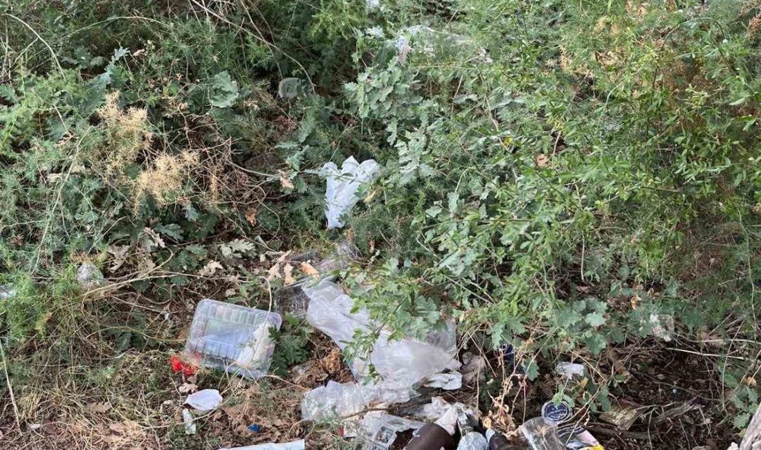 Bilecik’te alkol alan şahısların mekanı haline gelen yol adeta çöplüğe
