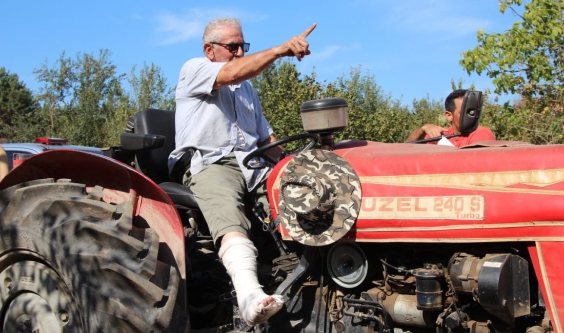 Sakarya’nın Akyazı ilçesinde ormanlık alanda çıkan, havadan ve karadan müdahaleyle