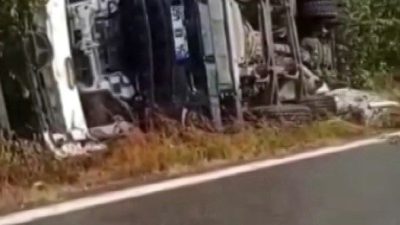 Sakarya’nın Kocaali ilçesinde sürücüsünün kontrolünden çıkan beton mikseri, fındık tarlasına