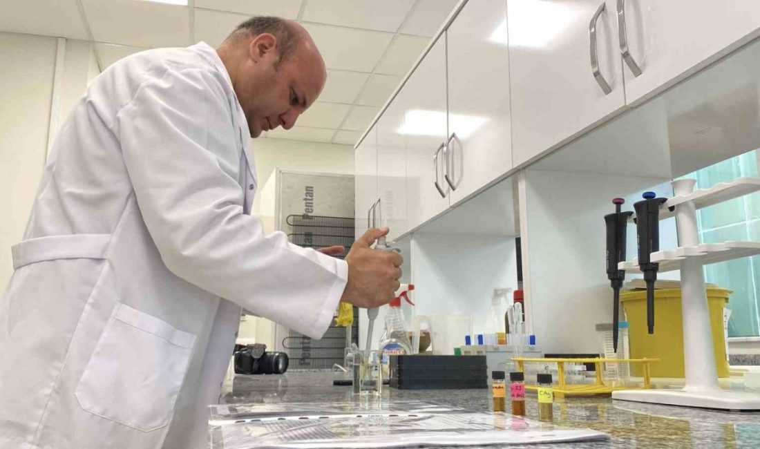 Bolu Abant İzzet Baysal Üniversitesi’nde, glioblastoma “beyin kanseri” hastalarında yaşam