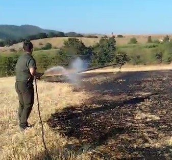Bilecik’in Pazaryeri ilçesinde çıkan anız yangını çok sayıda ekibin müdahalesiyle