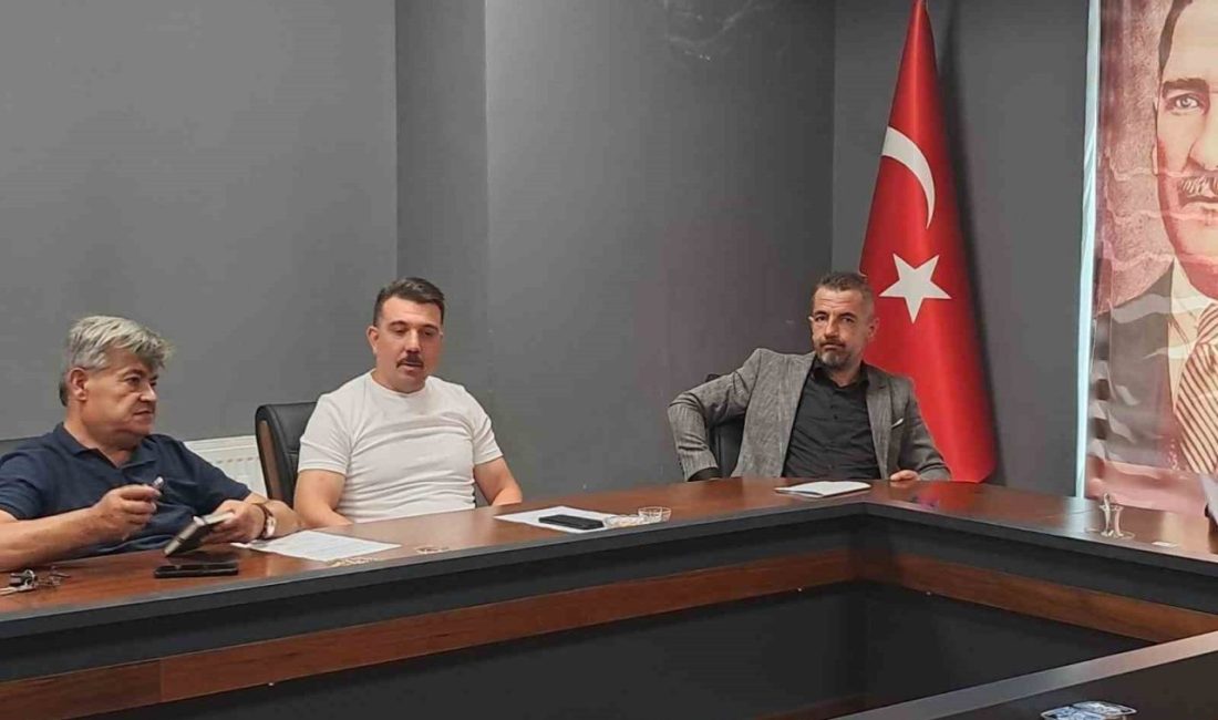Bilecik’te Milliyetçi Hareket Partisi’nden (MHP) seçilerek Pazaryeri Belediye Meclisi’nde görev