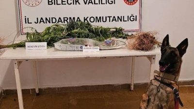 Bilecik’te jandarma ekipleri, uyuşturucu ile mücadele kapsamında gerçekleştirdikleri operasyonda, yasa