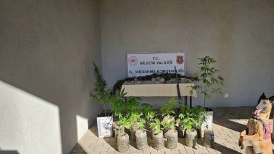 Bilecik İl Jandarma Komutanlığı, Pazaryeri ilçesinde gerçekleştirilen operasyonda, bir şahsın