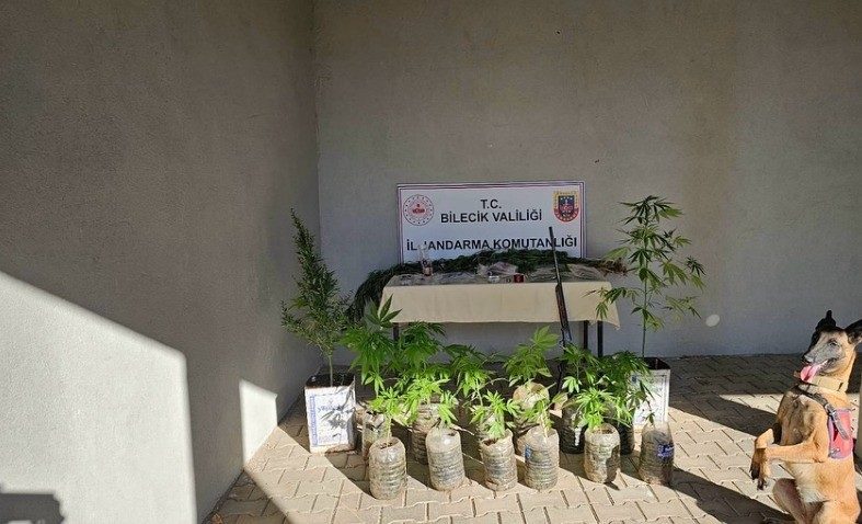 Bilecik’te yasadışı kenevir ve uyuşturucu operasyonu 1 gözaltı Bilecik İl Jandarma Komutanlığı, Pazaryeri ilçesinde gerçekleştirilen operasyonda, bir şahsın
