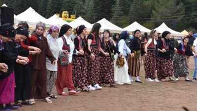 Sakarya’nın Hendek ilçesinin bin 500 rakımlı Çiğdem Yaylası’nda bu sene