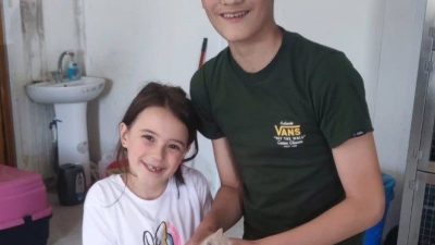 Bolu Belediyesi Hayvan Bakım Evi, bir ay boyunca 10 sahipsiz