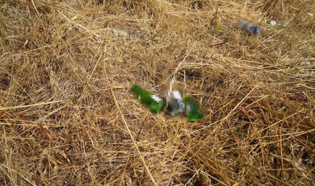 Bolu Ziraat Odası Başkanı Turan Cebeci, “Bolu yüzde 60’ı orman