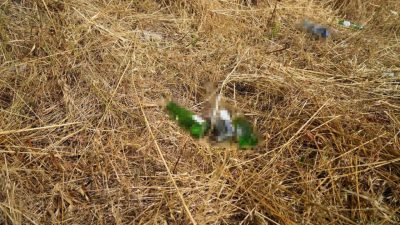 Bolu Ziraat Odası Başkanı Turan Cebeci, “Bolu yüzde 60’ı orman