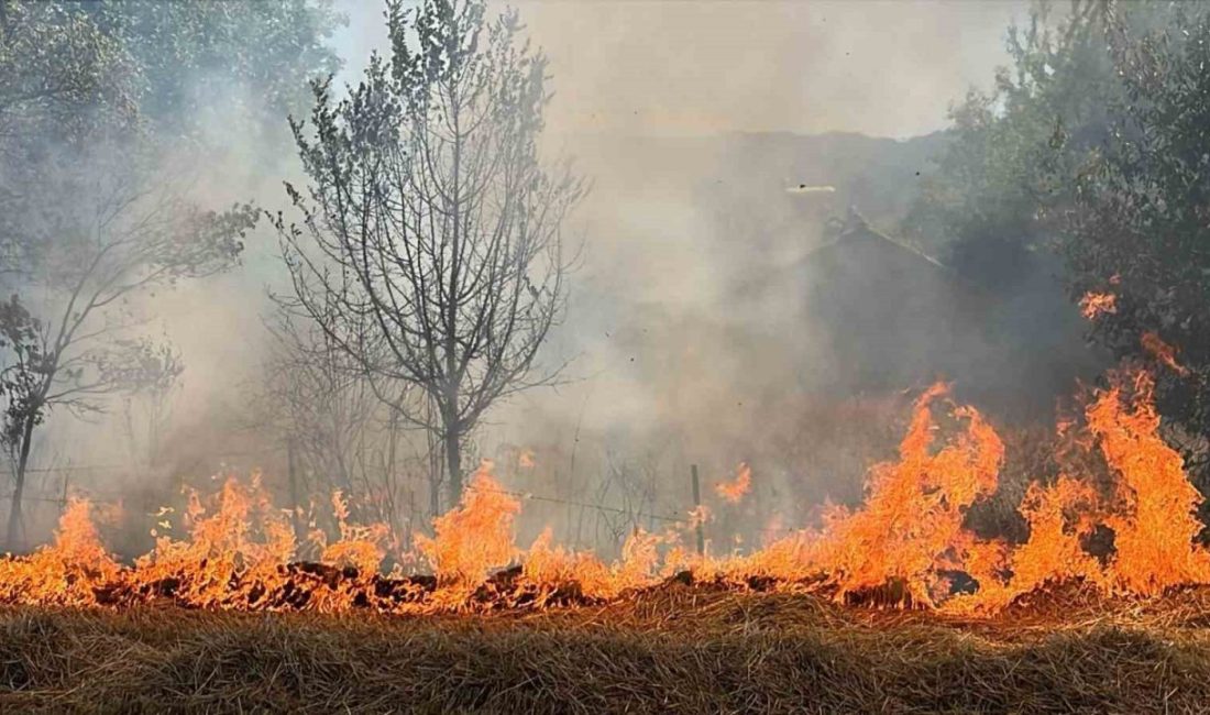 Bolu’da orman yangınlarının önlenmesi amacıyla, zorunlu haller dışında bidon, şişe