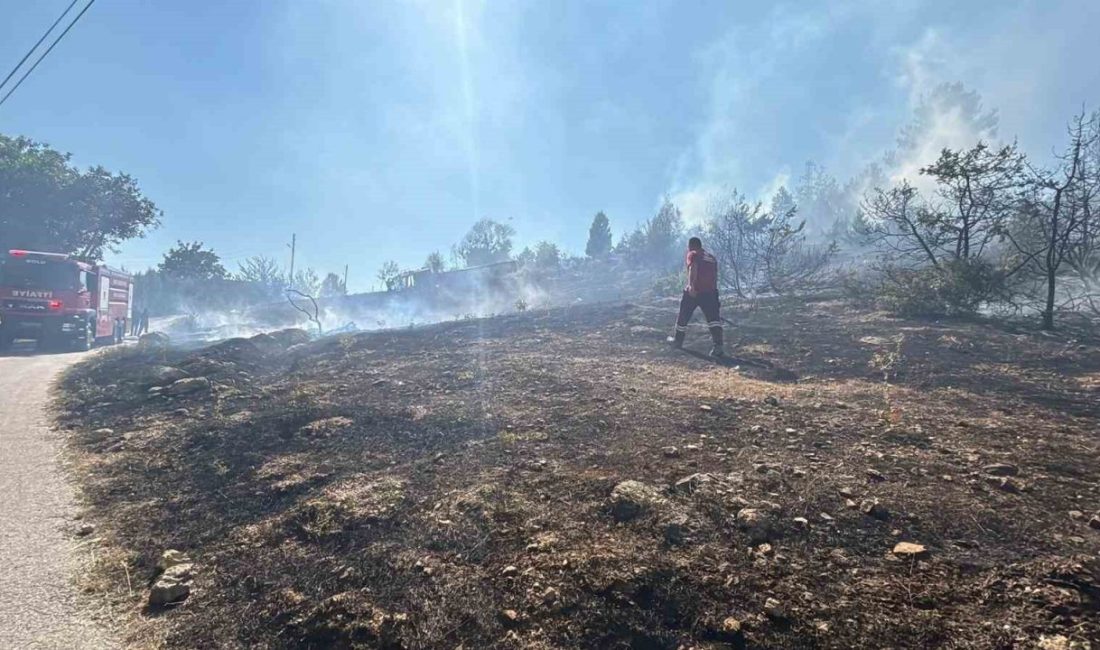 Bolu’da Alpagut Mahallesi’nde çalılık arazide çıkan yangın, evlere sıçramadan söndürüldü.