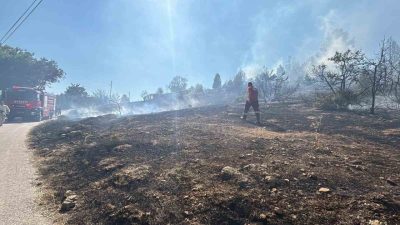 Bolu’da Alpagut Mahallesi’nde çalılık arazide çıkan yangın, evlere sıçramadan söndürüldü.