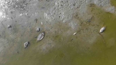 Bolu’nun Merkez ilçesine bağlı Çepni köyünde bulunan tarımsal sulama göleti,