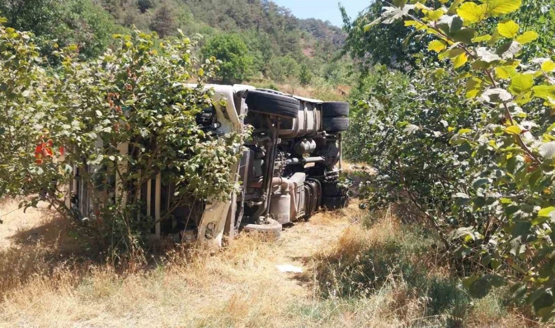 Bolu’da kontrolden çıkan tır fındık bahçesine devrildi Bolu’nun Mudurnu ilçesinde kontrolden çıkan tır, fındık bahçesine devrildi. Kazayı