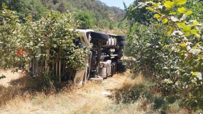Bolu’nun Mudurnu ilçesinde kontrolden çıkan tır, fındık bahçesine devrildi. Kazayı
