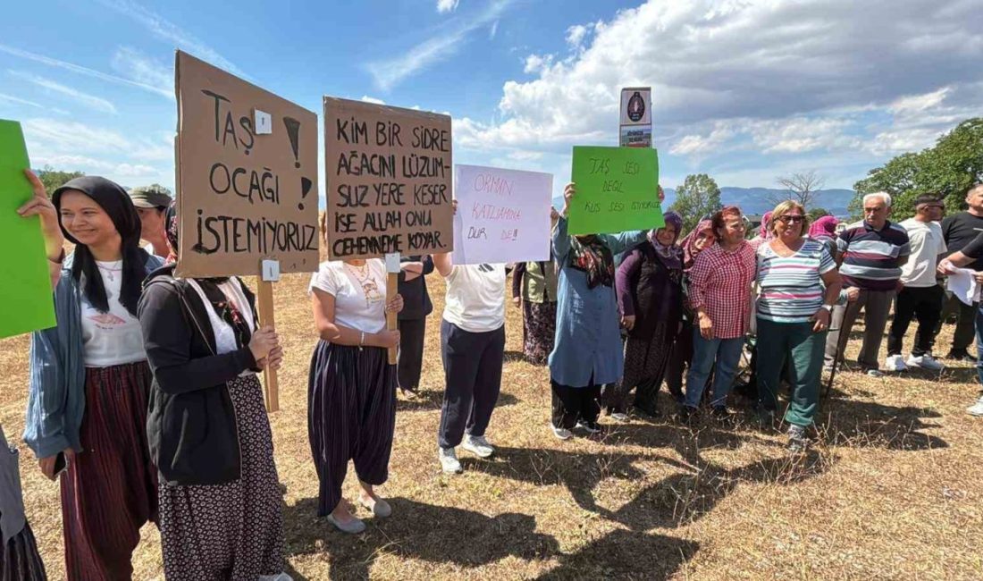 Bolu’nun Kındıra, Bürnük ve Kol köylerinin sınırları içerisinde bulunan Dombay