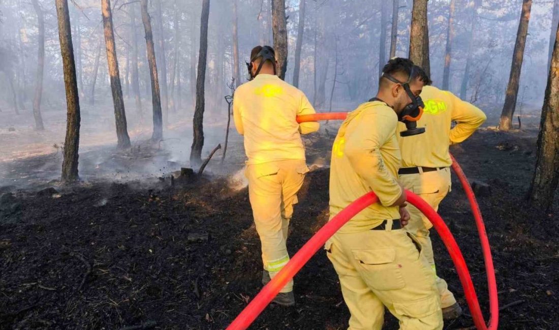 Bolu’nun Mengen ilçesinde çıkan yangın, ekiplerin 6 saatlik yoğun müdahalesiyle