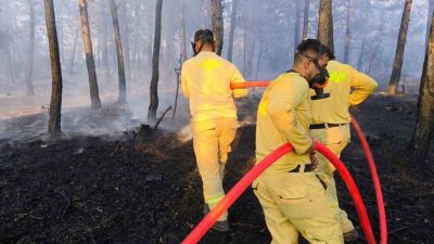 Bolu’nun Mengen ilçesinde çıkan yangın, ekiplerin 6 saatlik yoğun müdahalesiyle