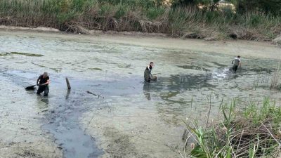Bolu’nun Merkez ilçesine bağlı Çepni köyünde bulunan tarımsal sulama göletinde