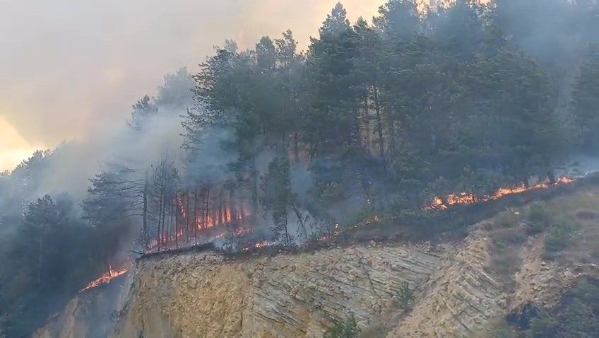 Bolu’nun Mengen ilçesinde ormanlık alanda yangın çıktı. Alevler hızla büyürken,