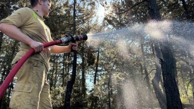 Bolu’nun Mudurnu ilçesinde biçerdöverden sıçrayan kıvılcımlar nedeniyle çıktığı belirlenen orman