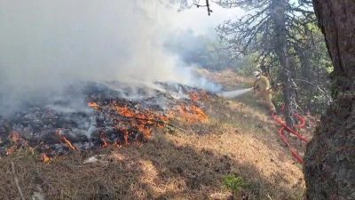 Bolu’nun Göynük ilçesinde bulunan ormanlık alanda yangın çıktı. Alevlere havadan