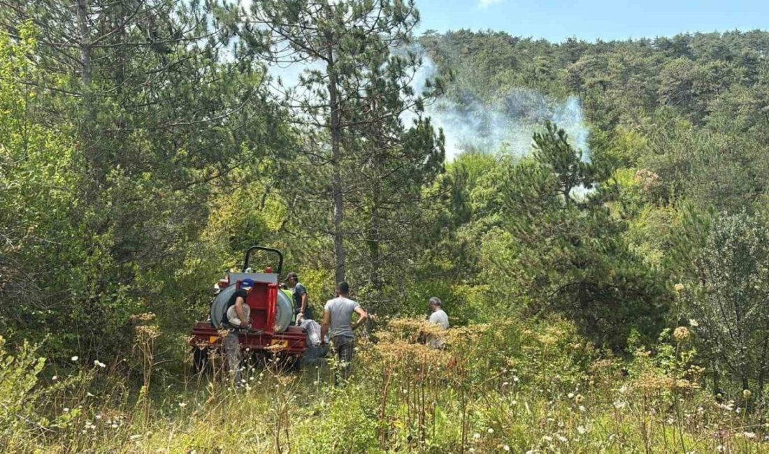 Bolu’da ormanlık alanda çıkan yangına çok sayıda ekip sevk edildi.