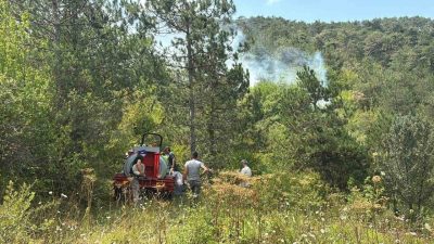 Bolu’da ormanlık alanda çıkan yangına çok sayıda ekip sevk edildi.