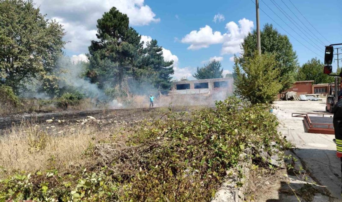 Bolu’da ot yangını büyümeden söndürüldü Bolu’da çıkan ot yangını, itfaiye ekiplerinin hızlı müdahalesiyle büyümeden söndürüldü.