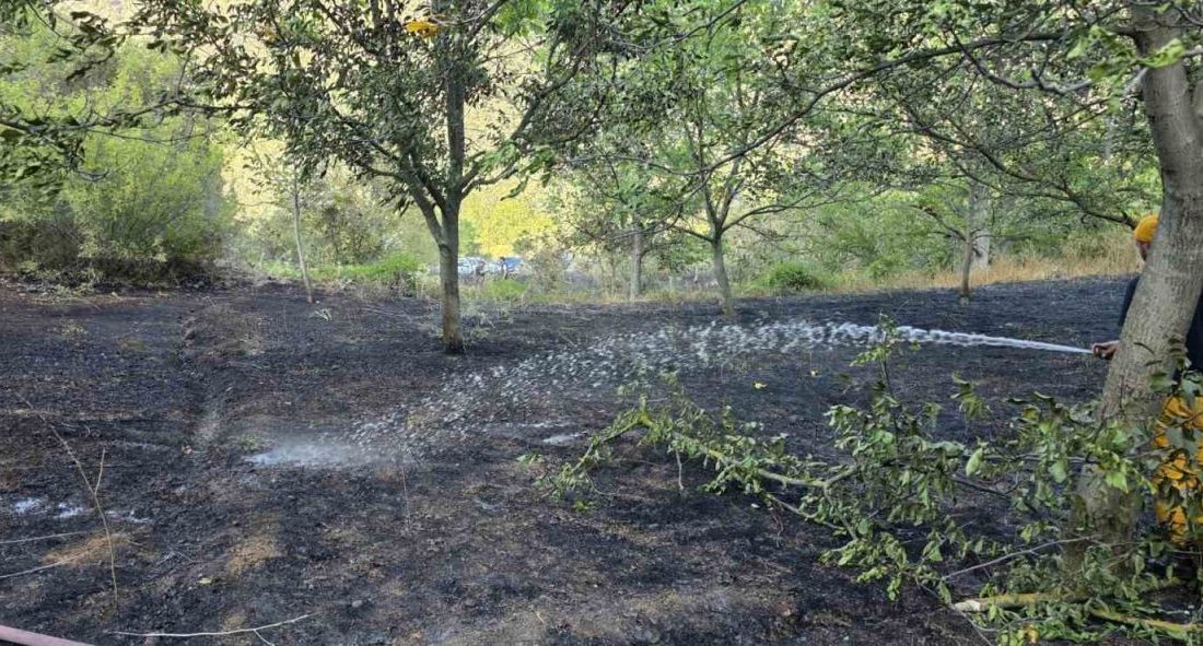 Bolu’nun Mudurnu ilçesinde otluk alanda çıkan yangın, ekiplerin zamanında müdahalesiyle
