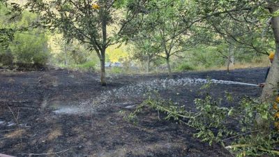 Bolu’nun Mudurnu ilçesinde otluk alanda çıkan yangın, ekiplerin zamanında müdahalesiyle